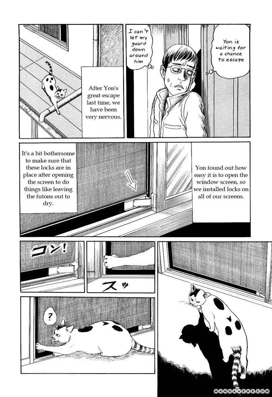 Ito Junji's Cat Diary Chapter 7 2